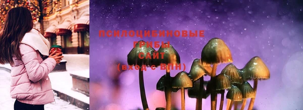 прущая мука Новозыбков