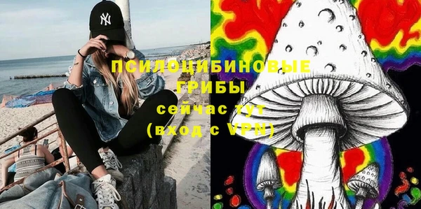 эйфоретик Новокубанск