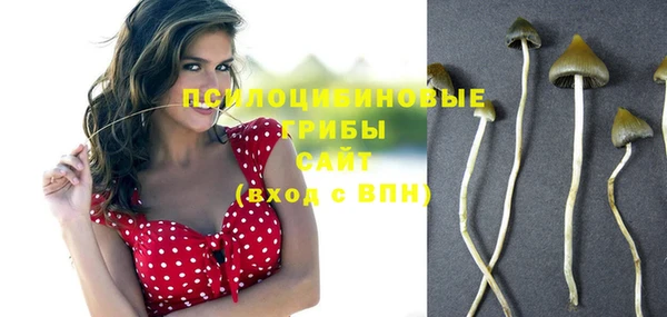 прущая мука Абдулино