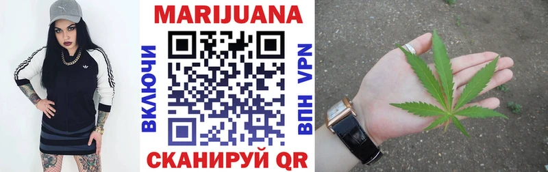 Конопля гибрид Чегем
